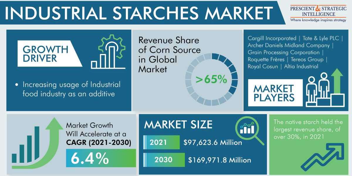 Industrial Starches Market Share, Size, Future Demand, and Emerging Trends