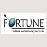 Fortune Visa Services